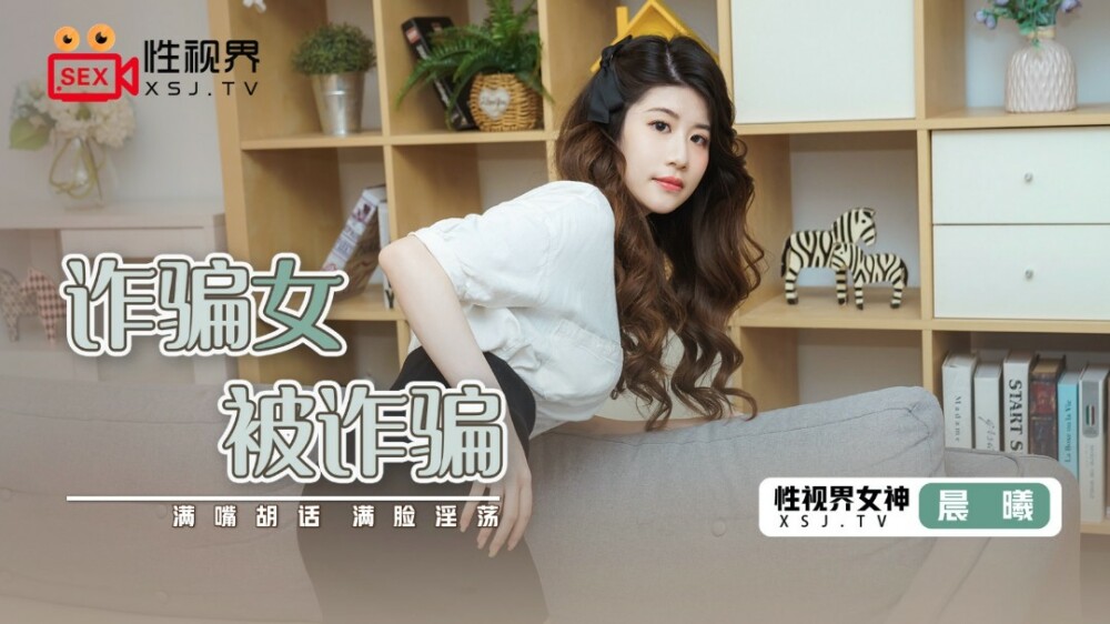 XSJ041 被骗的骗子