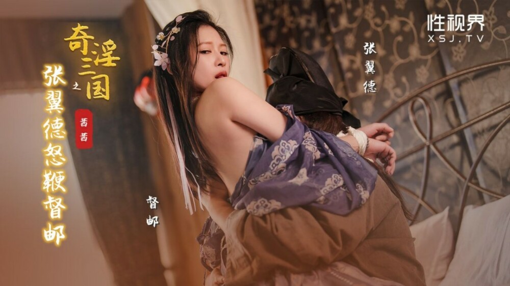 XSJ144 三国张一德