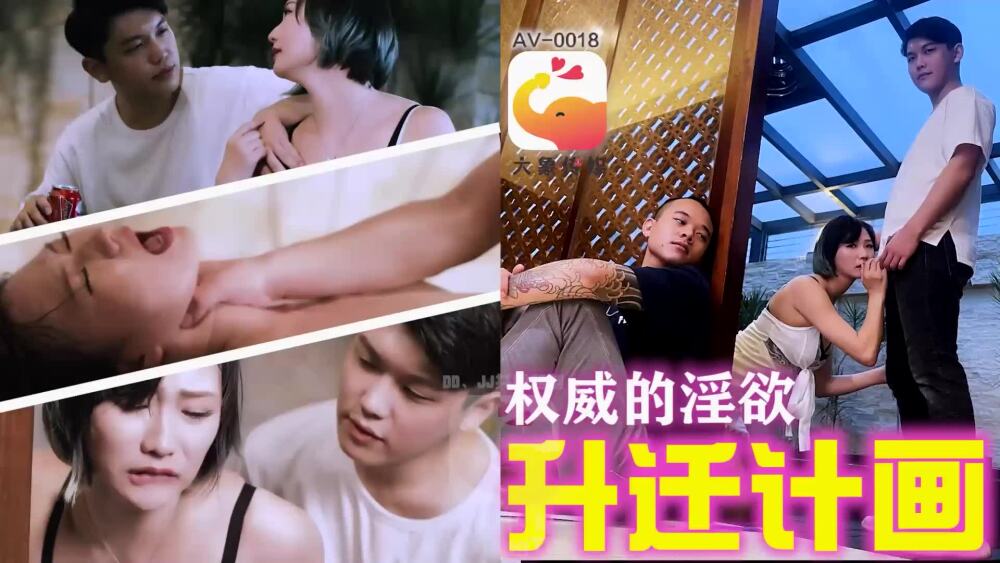 CUS-2227 大象传媒权威色欲推广计划
