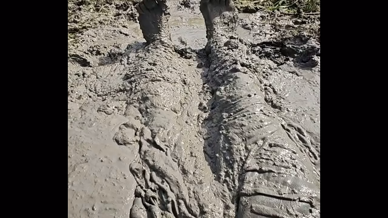 县公园 Lakebed 2 泥泞