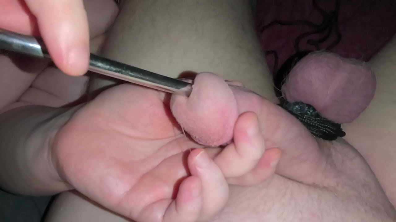 CBT 包括发声、破坏球和束缚球，以及用手指破坏我的尿孔。展示我的妻子对我的小阴茎做了什么...作者：Jayq - 2025 年 9 月 25 日