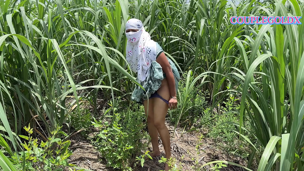 科玛尔在甘蔗地里走在前面，她的爱人跟在她后面