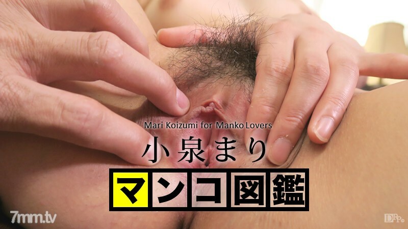 102215-001 猫咪图画书 小泉麻里 小泉麻里
