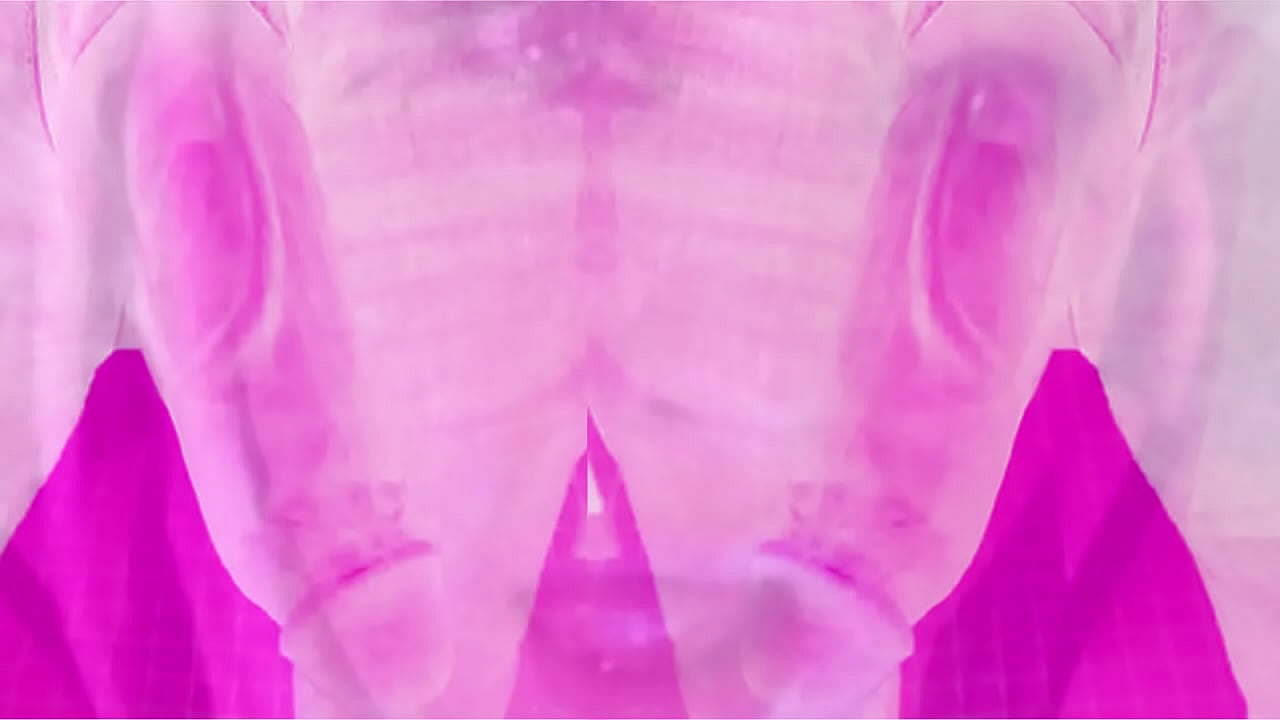 性感人妖让你用 BIG FAT JUICY BBC 口交 2 个黑人