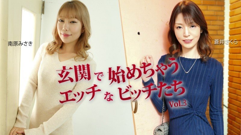 HEYZO-3943 从入口处开始的淫荡母狗 Vol.3 - 葵樱 - 南原美咲